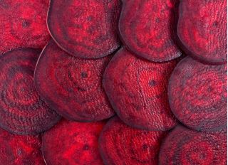 บีทรูท "Polglob" - 500 เมล็ด - Beta vulgaris