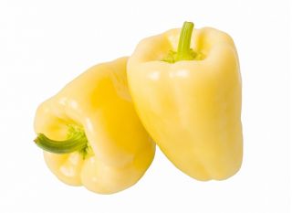 Paprikát - Bianca F1 - 7 magok - Capsicum L.
