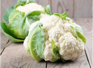 Karfiol - Bora - Korai szüret, kemény fejek, vitaminban gazdag - Friss vetőmagok
