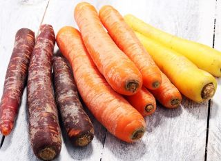 God have - Gulerod - mix - Daucus carota - frø
