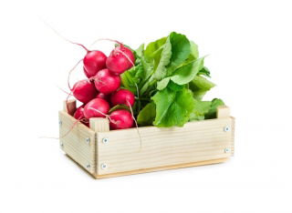 Ravanello "Cherry Belle" - SEMENTI RIVESTITI - 