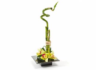 Vaso di fiori quadrato - base composizione - Ikebana - 19 cm - Nero - 