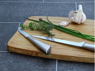 BIO - Chives - сертифицирани биологични семена - 850 семена - Allium schoenoprasum L.