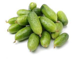 Polia, morenie uhorky "Rodos" - 225 semien - Cucumis sativus - semená