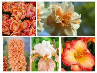 ピンクオレンジ色の花セット -  5種 - 