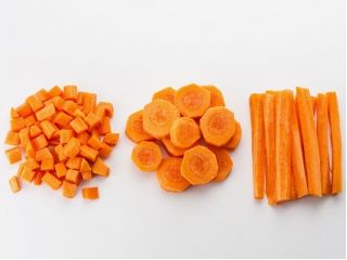 당근 카로프카 씨앗 - Daucus carota - 1275 종자 - Daucus carota ssp. sativus 