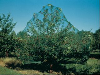 Vogelgaas 5 x 2 m - 