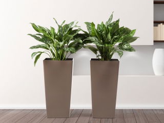 "Finezja" vierkante hoge plantenbak met een inzet - 25 cm - donkerbeige - 