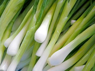 Zimní cibule 'Zimní hnízdo' - 100 g -  Allium fistulosum - semena
