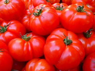 Pomodoro - Jutrosz -  Lycopersicon esculentum - Jutrosz - semi