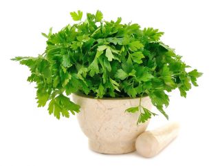 Home Garden - Leaf parsley variety mix - for indoor and balcony cultivation - 3000 seeds