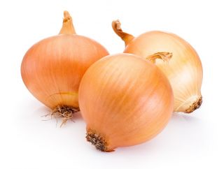 Vanlig løk - Polana - 1000 frø - Allium cepa L.