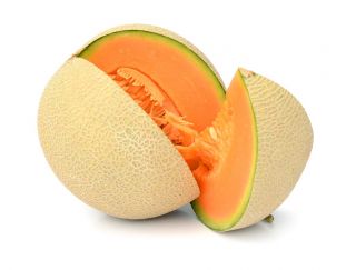 Melone 'Junior' - dichter, orange, aromatischer Fruchtfleisch