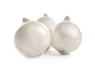 Onion "Alibaba" - white, tender variety for long term storing - 750 seeds