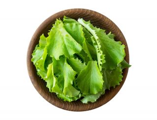 Baby Leaf - Selada "Lollo" - Lactuca sativa var. Foliosa - biji