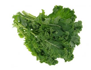Kale "Corporal" - matala kasvava tummanvihreä, kiiltävät lehdet - 300 siementä - Brassica oleracea convar. acephala var. Sabellica - siemenet