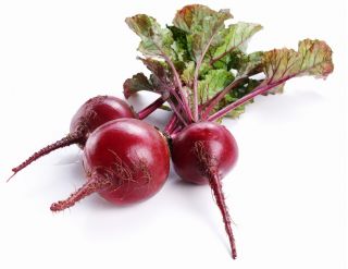 Củ cải đường "Astar" - lý tưởng cho nước ép và cô đặc - 500 hạt - Beta vulgaris