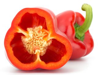 Poivron - Iga - 60 graines - Capsicum L.