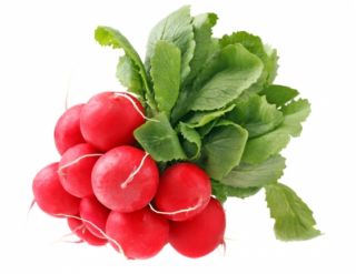 萝卜“Carmesa” - 用于覆盖和田间栽培的早期薄皮品种 -  425粒种子 - Raphanus sativus L. - 種子
