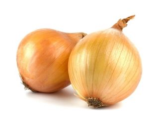 Matlök - Wolska - behandlade frön - Allium cepa