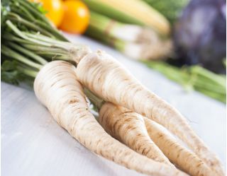 Gyökérpetrezselyem - Lenka - Aromás gyökerek, tökéletes tárolásra! - Friss vetőmagok