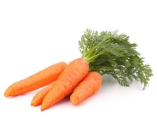 Morcov "Aron F1" - soiuri timpurii - 4250 de semințe - Daucus carota ssp. sativus 