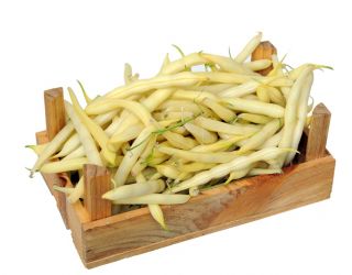 BIO - fasole franceză "Fructidor" - semințe organice certificate - Phaseolus vulgaris L.