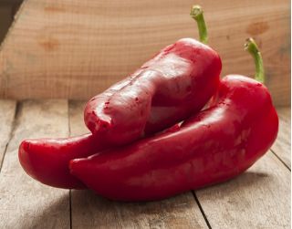 Hot Pepper Rokita seeds - Capsicum annuum - 68 seeds
