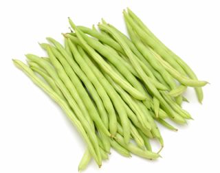 Fagiolo - Scuba - semi trattati - Phaseolus vulgaris