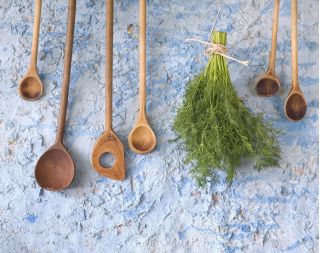Home Garden - Dill "Compact" - for indoor and balcony cultivation - 2800 seeds