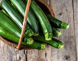 Calabacín - Cora F1 - Cucurbita pepo  - semillas
