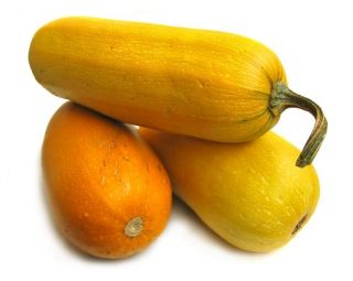 Spagetikõrvits - Pyza - 14 seemned - Cucurbita maxima