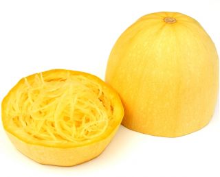 Spagetikõrvits - Pyza - 14 seemned - Cucurbita maxima