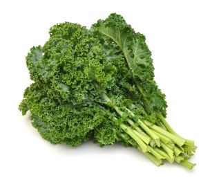 Kale "Vitessa" - pale green, medium tall - 600 seeds