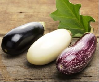 Aubergine - Mélange - Riche en saveur, légume polyvalent en cuisine - Graines fraîches