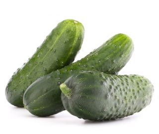 Cucumber - Krak F1 - Pelleted Seeds - Crisp Texture, Sweetly Refreshing