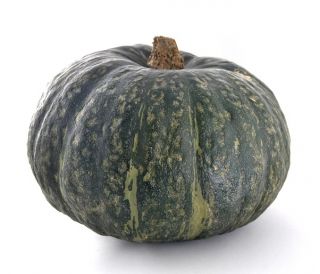 Jättikurpitsa - Ambar - 18 siemenet - Cucurbita maxima