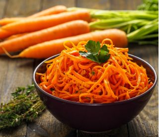 Carotte - Amsterdam 3 - Racines sucrées et juteuses pour récolte précoce - Graines fraîches