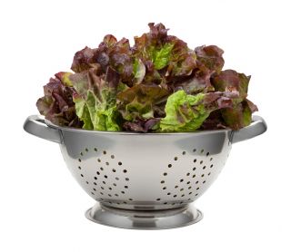 Lattuga - Rosemarry - Resistente al freddo, crescita rapida, teste compatte - Semi Freschi