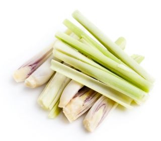 Citronella - 