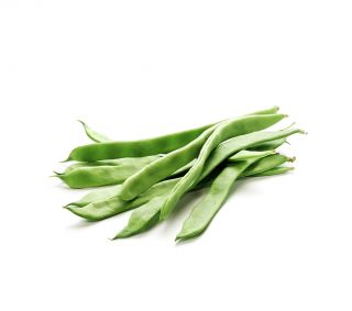 Зелена квасоля "Дакота" - Phaseolus vulgaris L. - насіння