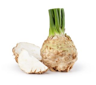 Celer, korijen celera "Makar" - 2600 sjemenki - Apium graveolens - sjemenke