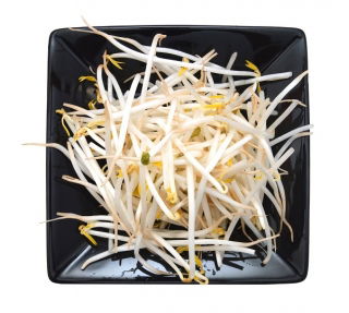 BIO Sprouting seeds - Mung bean - certified organic seeds