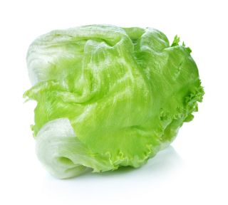 Alface Iceberg - Goplana - 450 sementes - Lactuca sativa L.