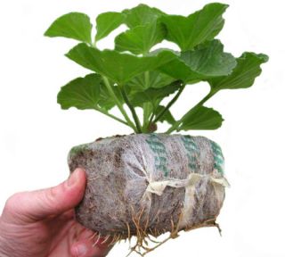 Expandable peat pot - GrowBlock - 50 x 50 mm - 20 pieces