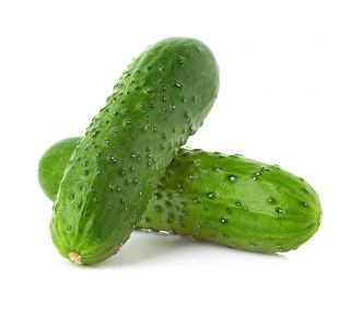 Cucumber "Aston F1" - parthenocarpic variety for cultivation under covers