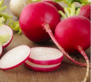 Radish "Riesen von Aspern" - round, red roots - 425 seeds