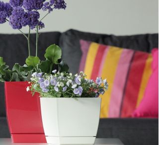 Pot de fleurs carré avec soucoupe - Coubi - 18 cm - Framboise - 