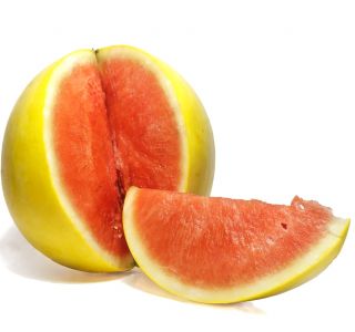 Arbuus - Złoto Wolicy - 9 seemned - Citrullus lanatus