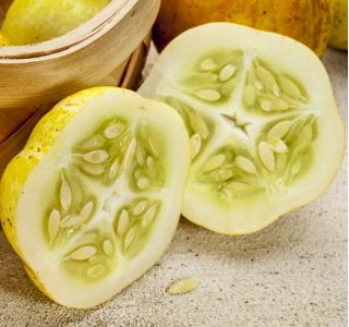 Lemon Cucumber seeds - Cucumis sativus